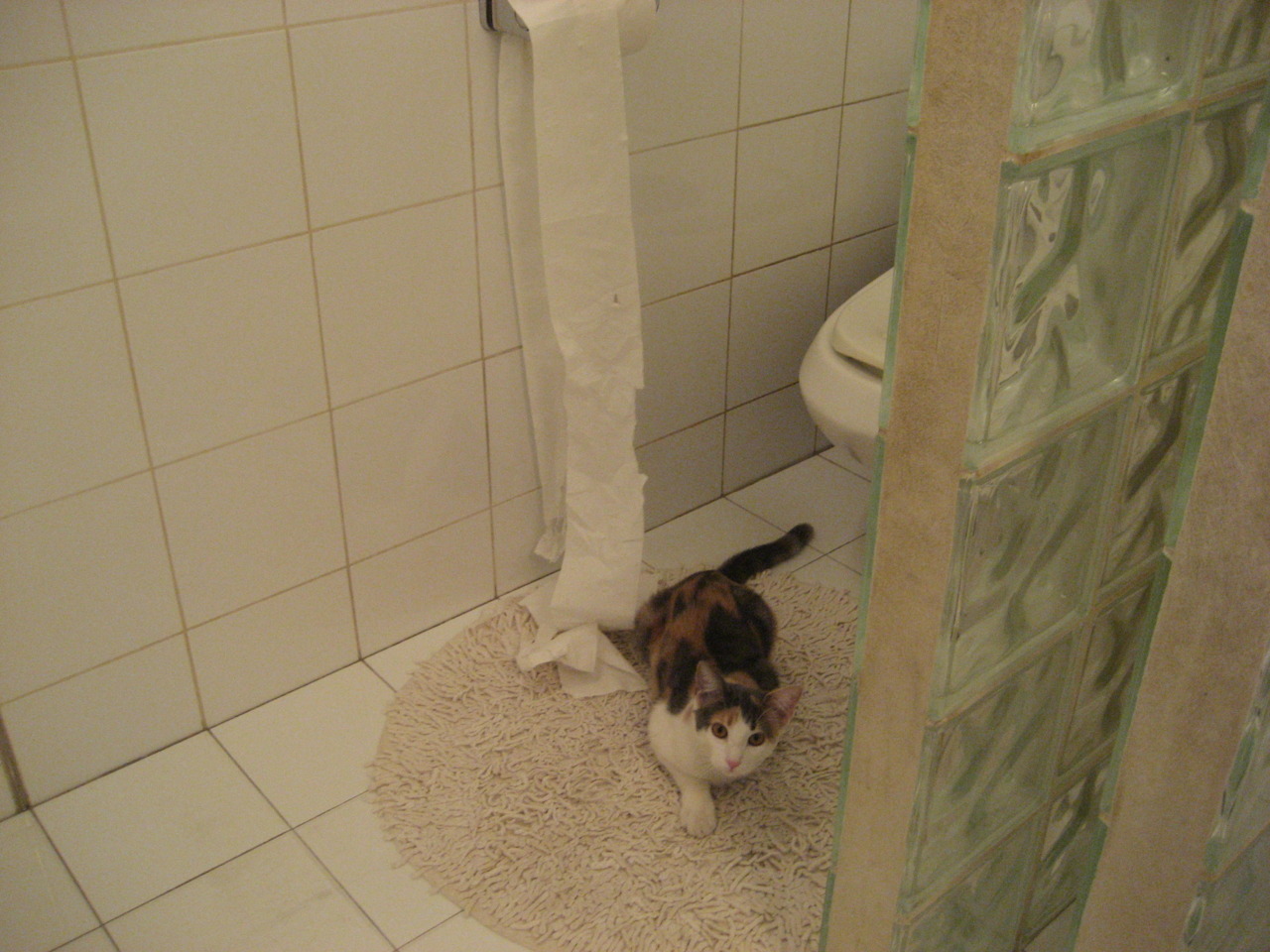 东决关键战之夜,文班亚马的压制级发挥,改写系列赛格局