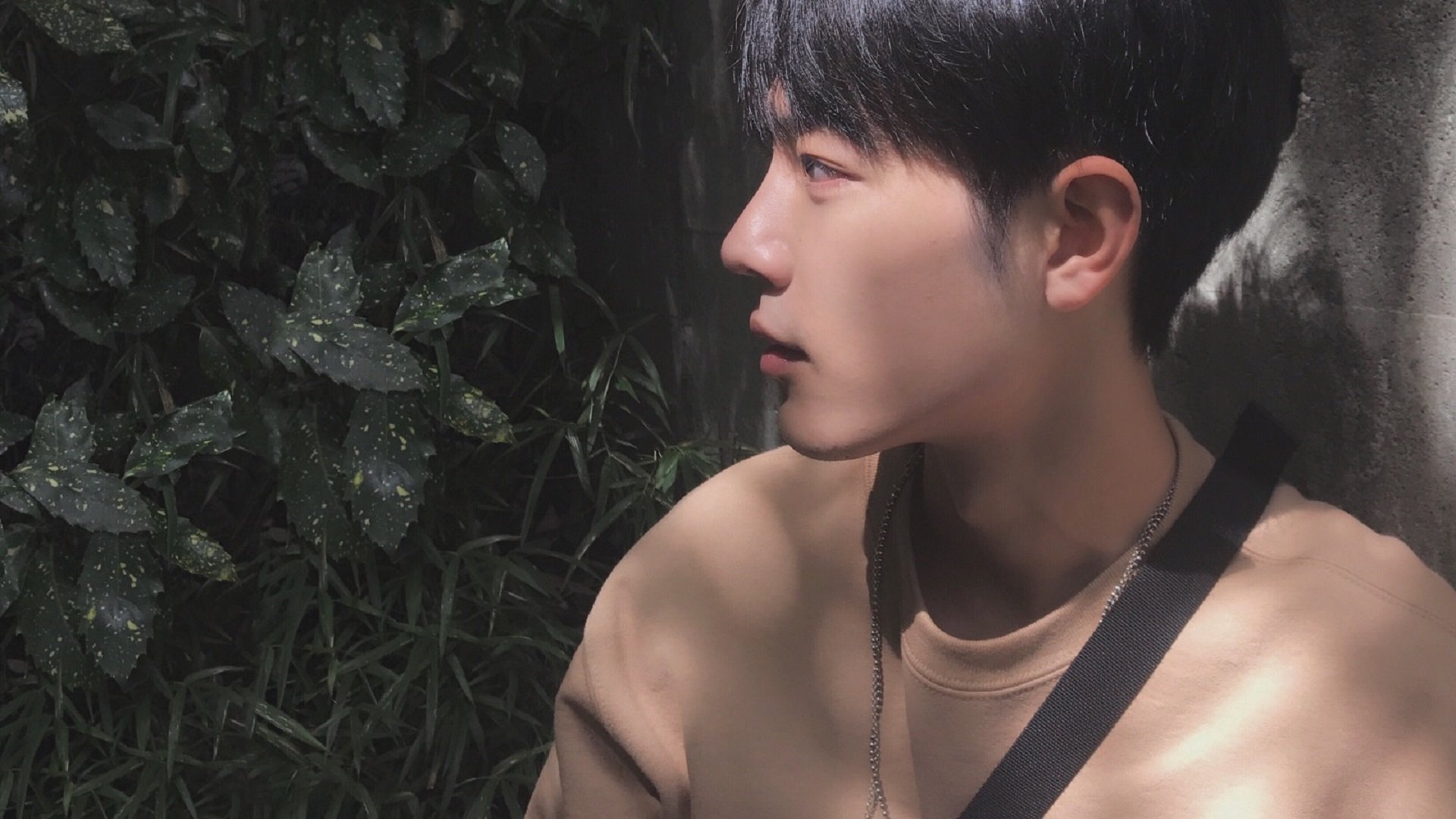 阿坎吉的木马,希腊军团今夜收割巴黎