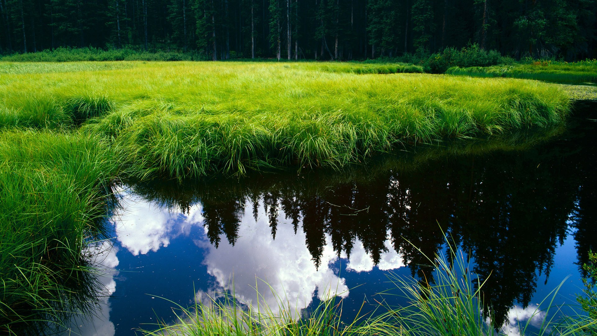 当紫禁城遇见新奥尔良,一场时空交错的冠军试炼
