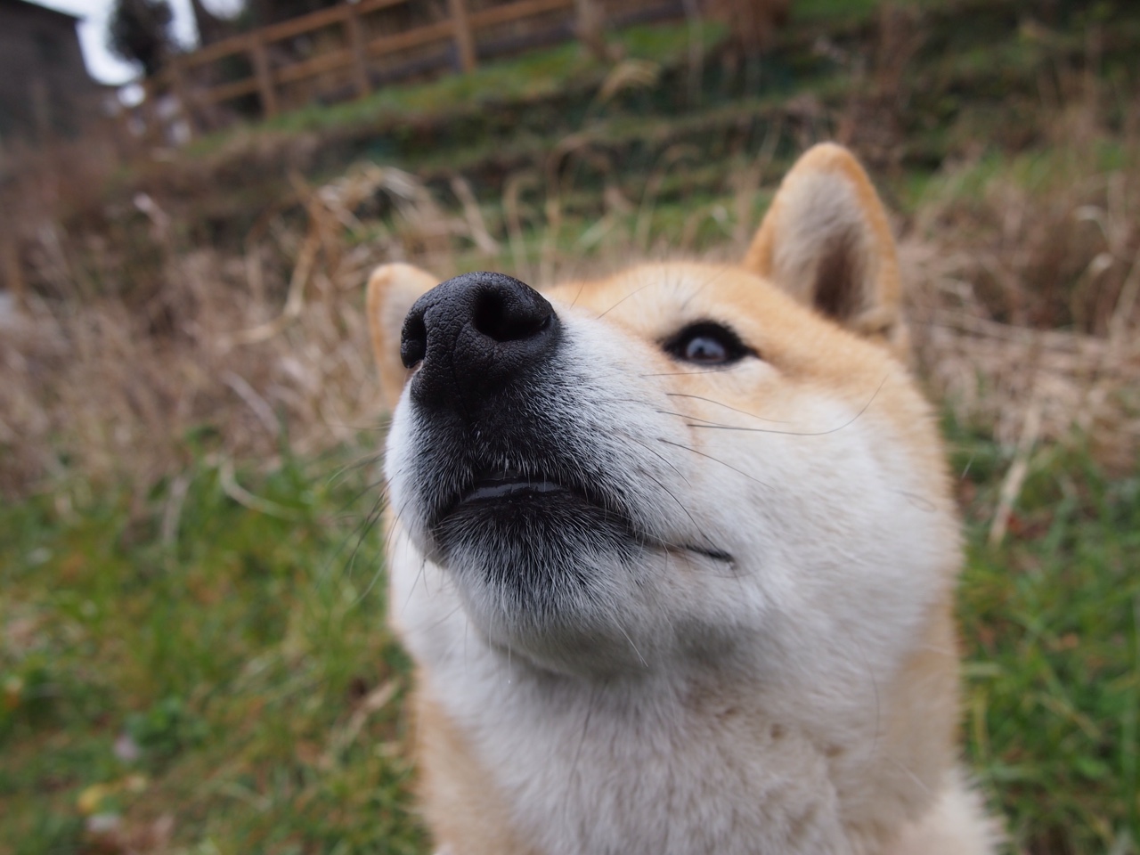 从达喀尔到迈阿密，竞技体育中唯一无法被逆转的，是主宰者的意志