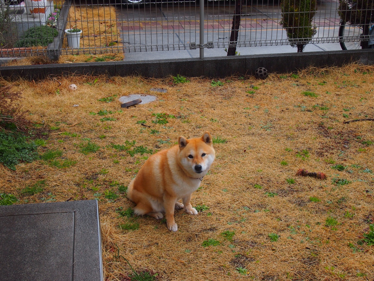 铁血鏖战毕尔巴鄂,戈麦斯一锤定音,乌拉圭诠释南美坚韧