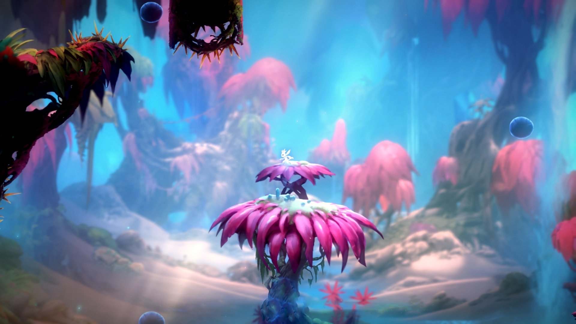 美加墨世界杯之夜，马克西，撕裂两极的隐形脊梁