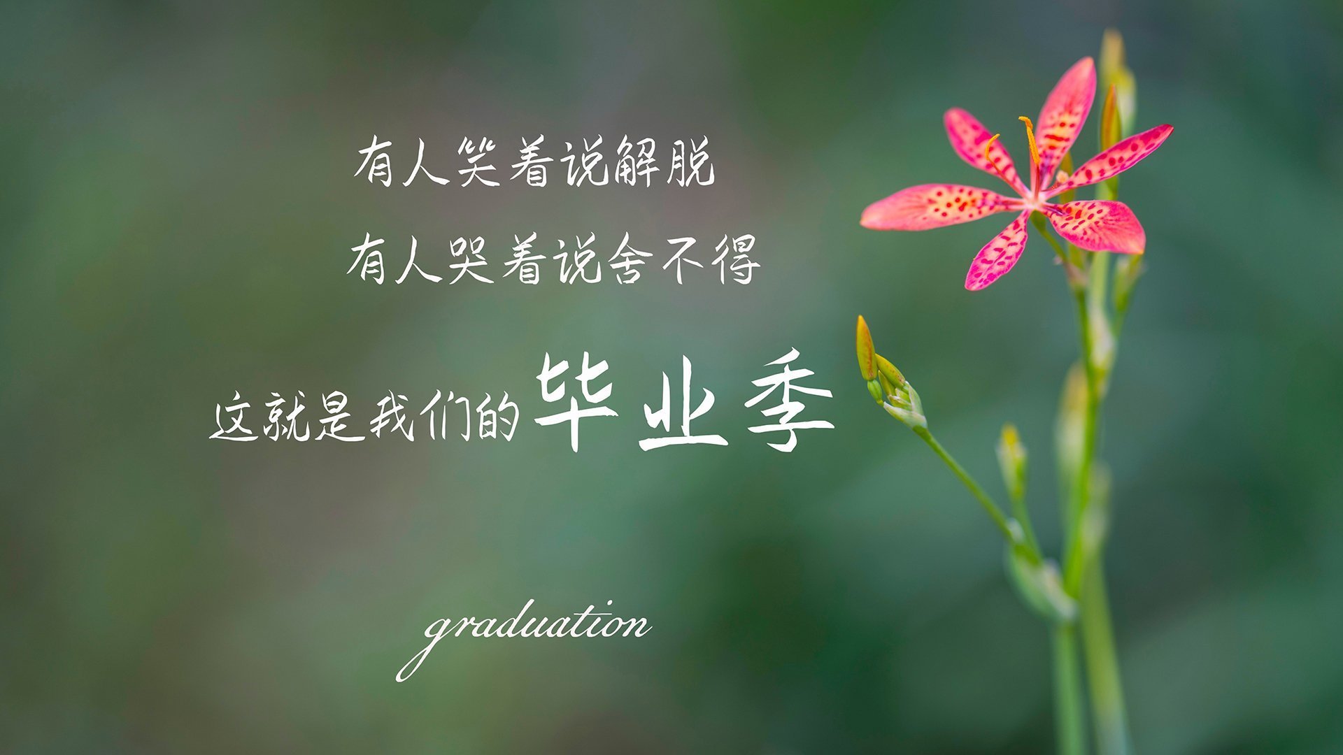 绿茵激情与硬木冷酷的交汇，德罗赞在国家德比之夜的关键回合艺术