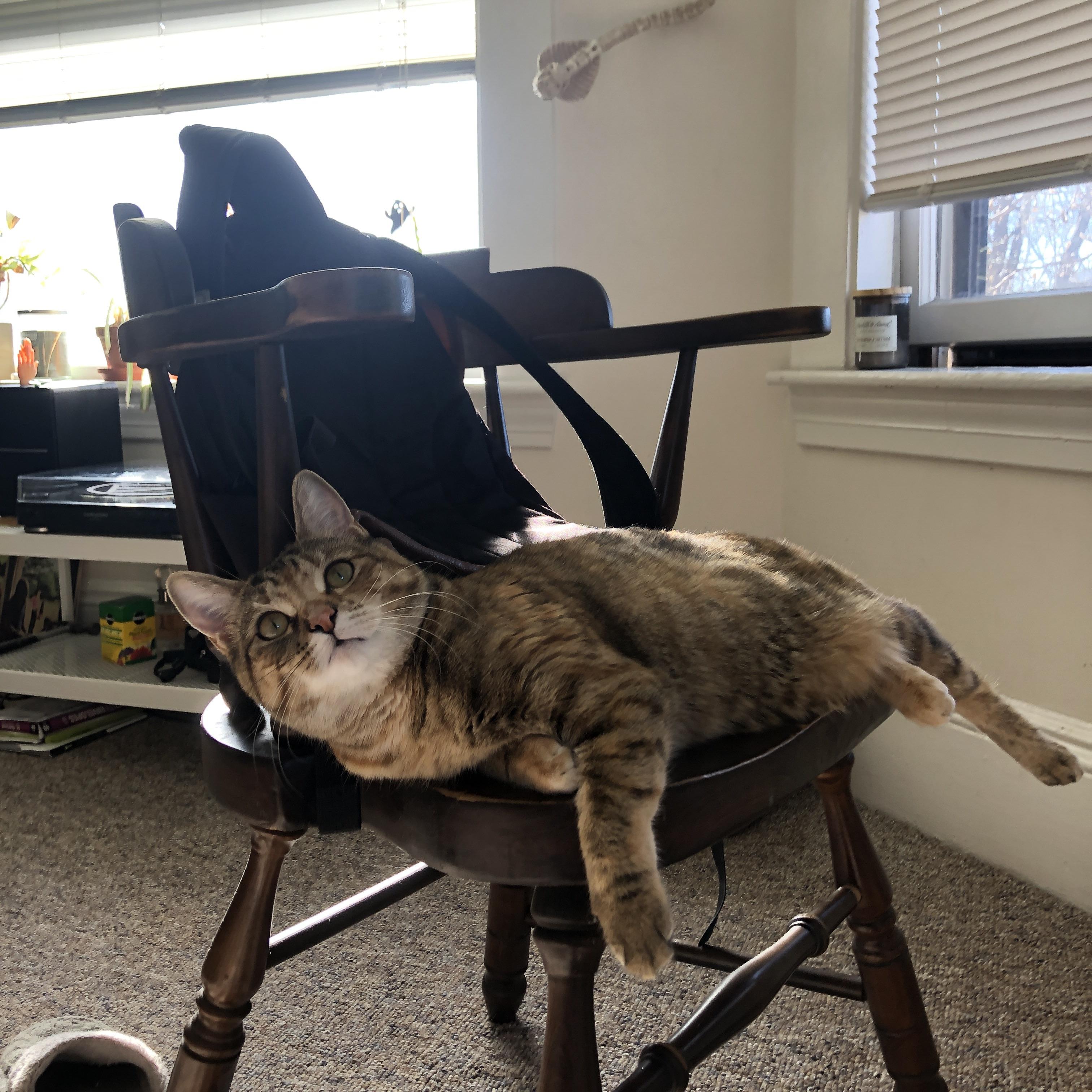 绝杀之夜，萨拉赫一箭穿心，马里收割波斯铁骑