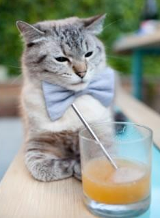 开云体育-中投如时钟，杜兰特成魔术对阵尼克斯的定海神针