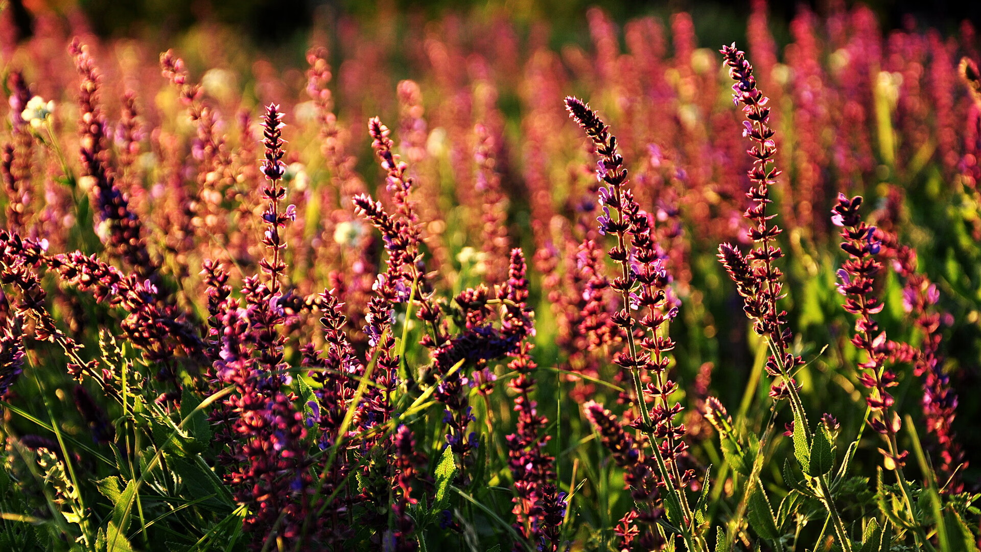 东亚铁闸锁死英伦利刃，李刚仁如何让枪手哑火