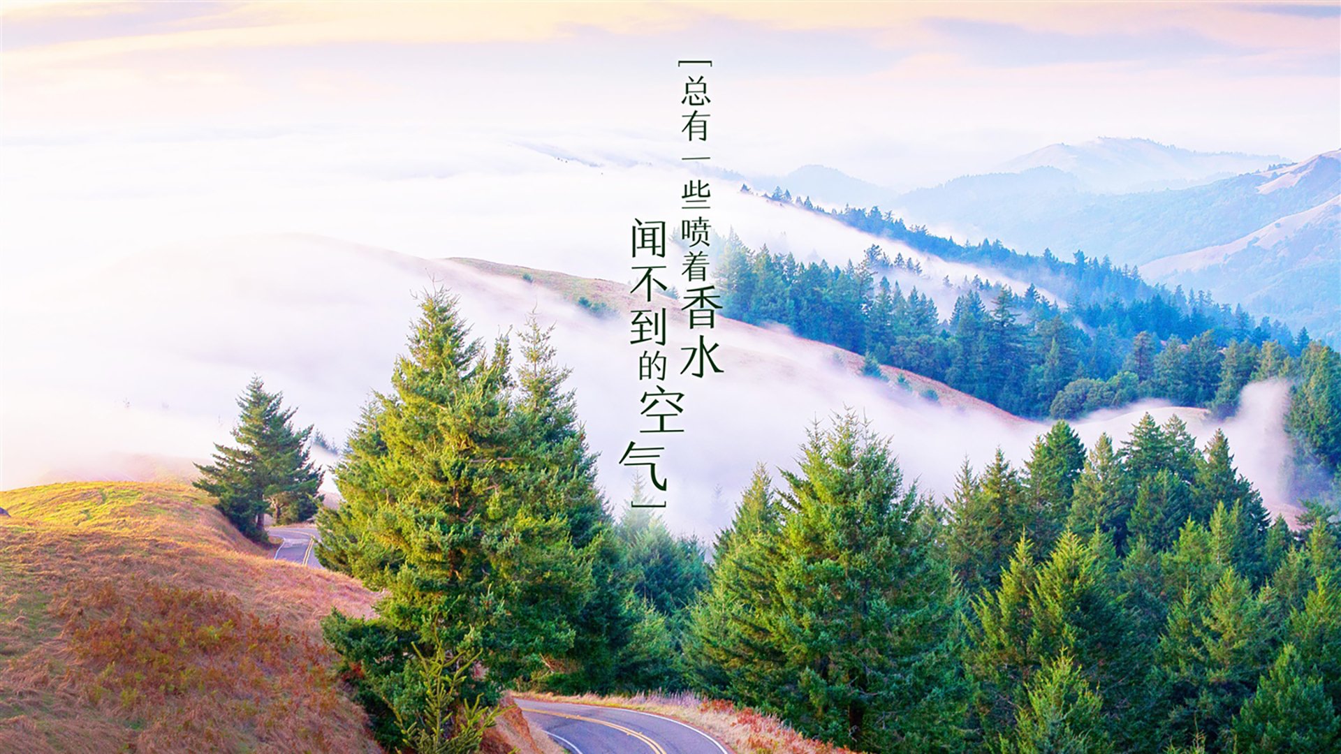 黄潜艇锁定胜局！罗德里一传一射奠定乾坤