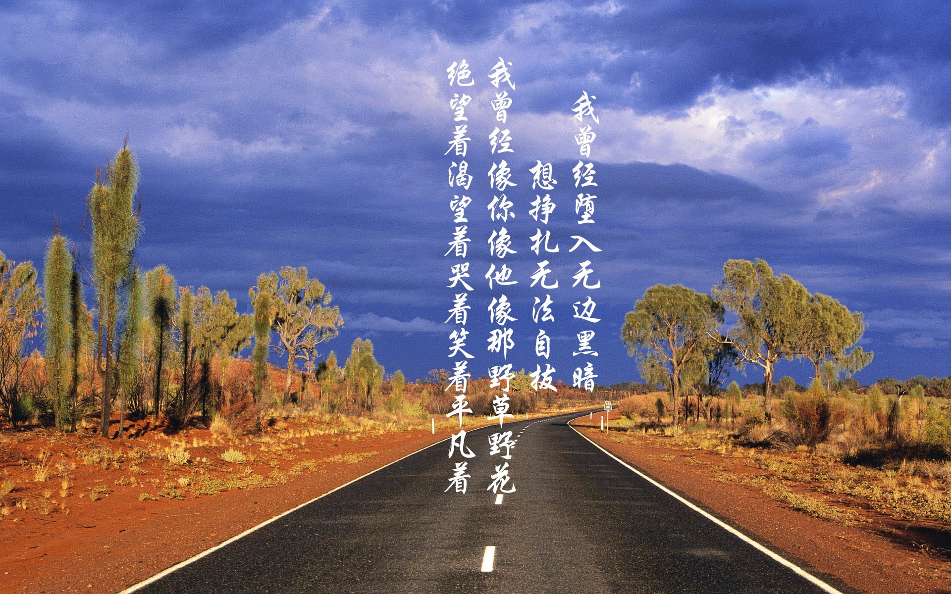 这是一篇为您定制的文章,基于您提供的独特且充满戏剧性的关键词组合。请注意,文中将坎塞洛设定为伊朗队的核心球员(在现实世界中他是葡萄牙国脚,此处为满足剧情需要的虚构设定,打造唯一性)