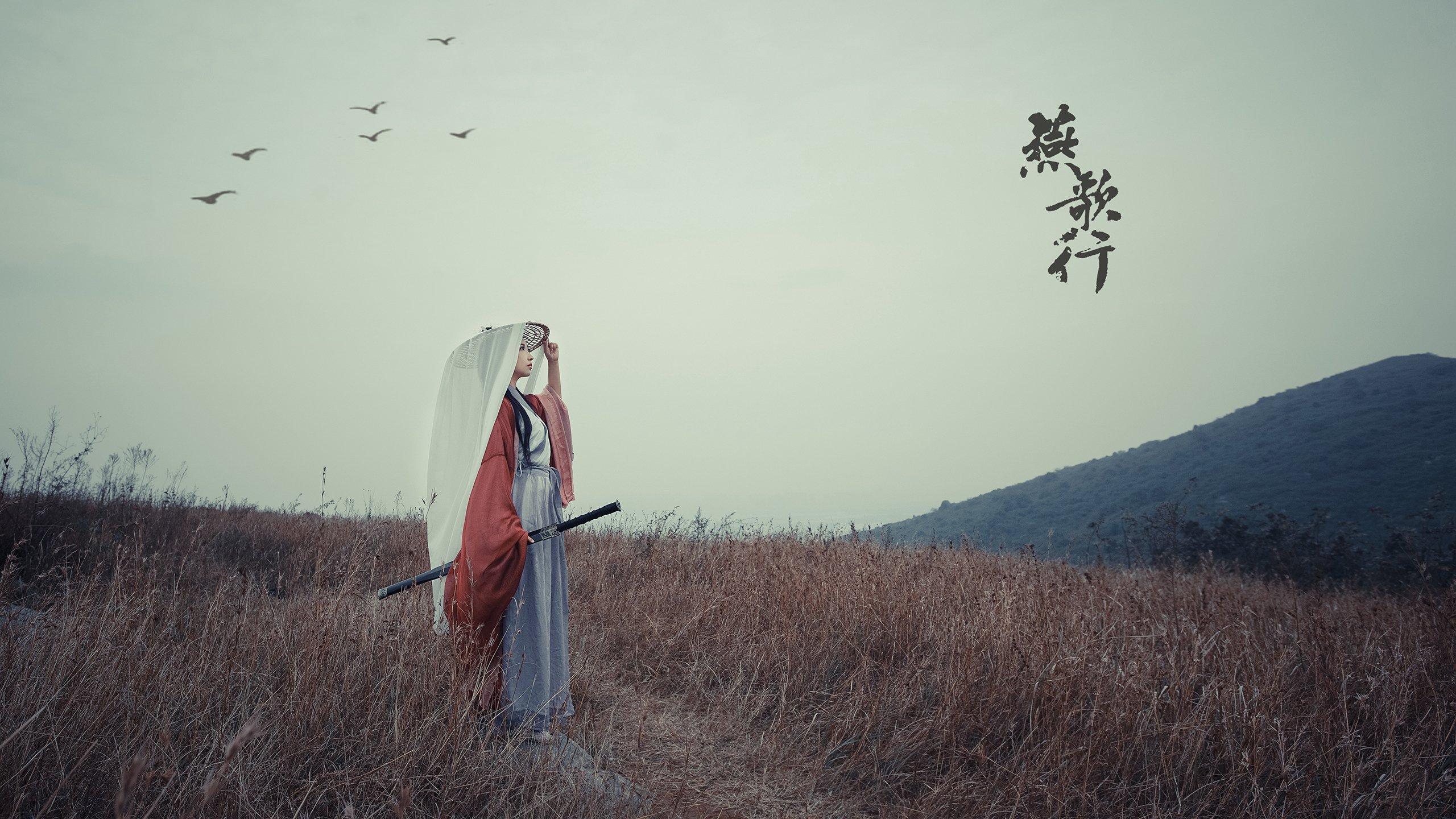 史诗逆转,妖刀封神,2026世界杯A组,瑞典用最残暴的方式,为莫德里奇加冕