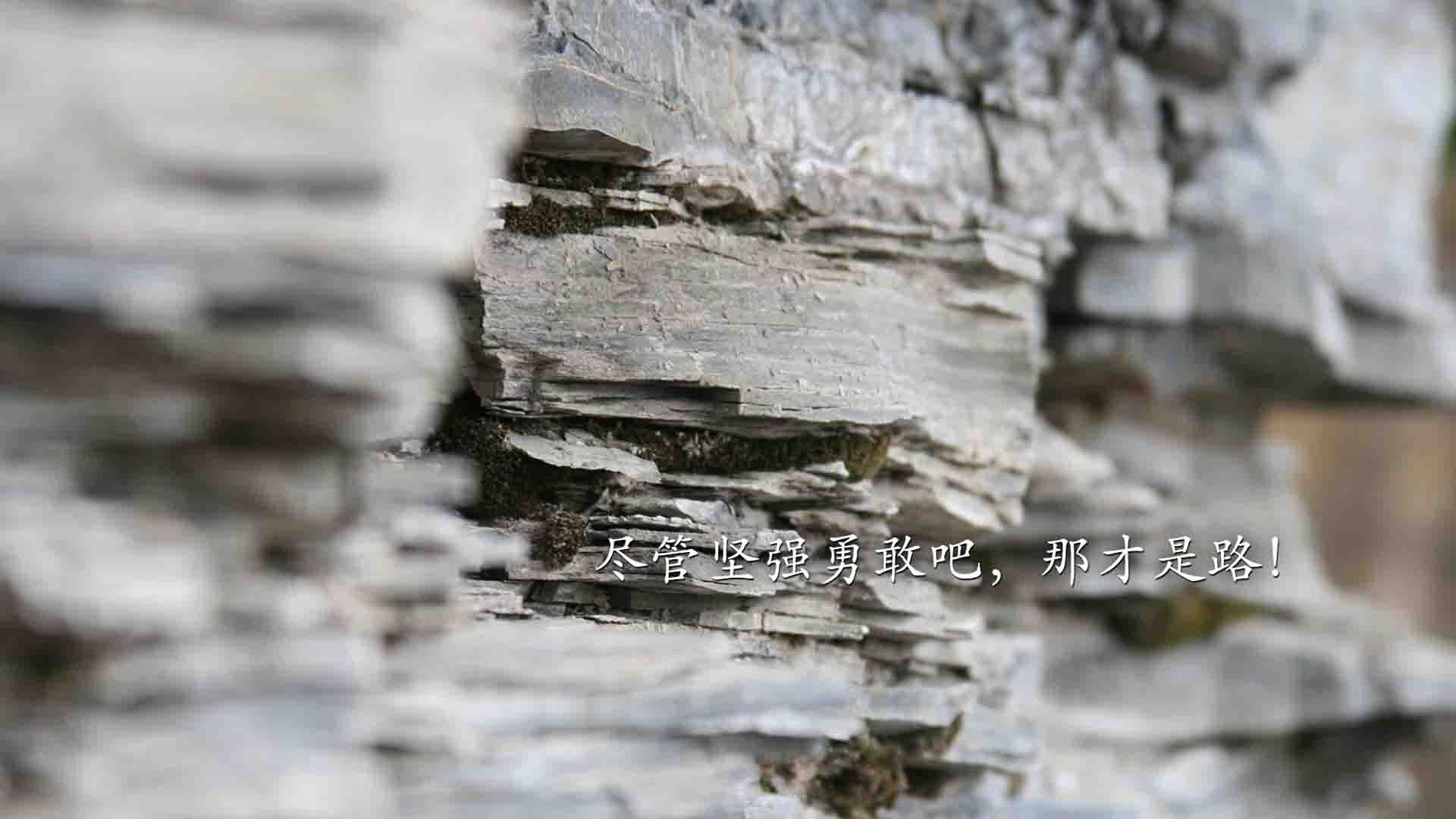 潘帕斯之矛的冰原突围,2026世界杯A组,塔雷米的唯一命门与乌拉圭的致命呼吸