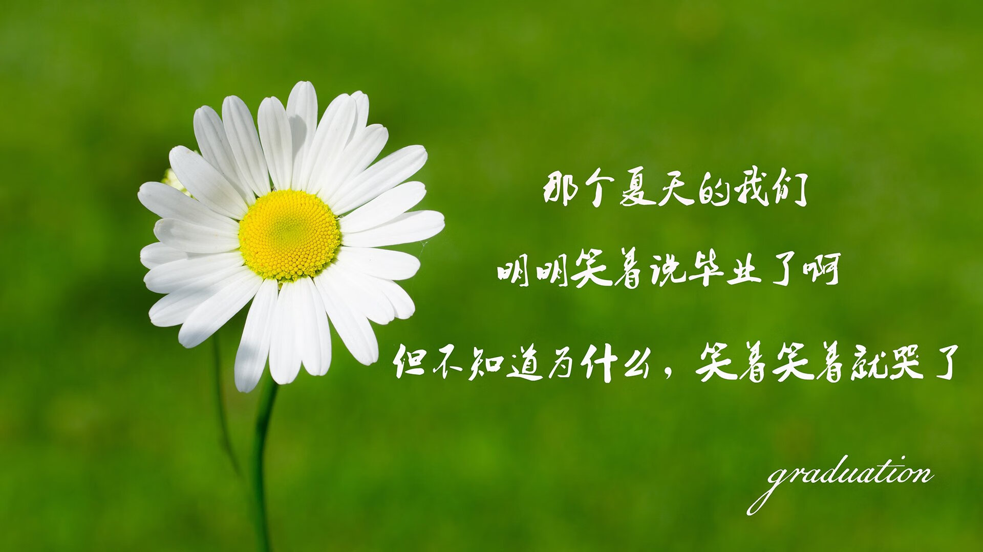 宿命的红牌，当阿方索·戴维斯用一己之力撕裂高卢雄鸡，却将加纳推入深渊